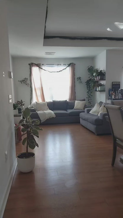 Carla set